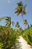 020_Safari_Island_DSC_2931.JPG