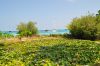 021_Safari_Island_DSC_2928.JPG