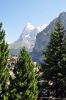 044_berner_oberland_jungfrau_region_DSC_8478.JPG