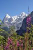 058_berner_oberland_jungfrau_region_DSC_8527.JPG