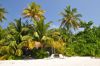 072_Safari_Island_DSC_2911.JPG