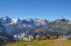 094_berner_oberland_jungfrau_region_DSC_8692.JPG