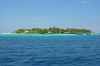 103_Safari_Island_DSC_3146.JPG