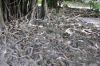 Dhonveli_094_DSC_5749.JPG
