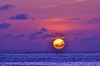 Dhonveli_138_DSC_6379.JPG