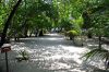 helengeli_2010_040DSC_4503.JPG