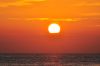 royal_island_101a_0791.jpg