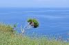 samos_024_dsc_4214.jpg