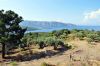 Dateiname=samos_055_dsc_4280.jpg
Dateigröße=119KB
Abmessungen: 900x598
hinzugefügt am: 07. Juni 2011 samos_055_dsc_4280.jpg