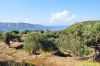Dateiname=samos_057_dsc_4285.jpg
Dateigröße=130KB
Abmessungen: 900x598
hinzugefügt am: 07. Juni 2011 samos_057_dsc_4285.jpg