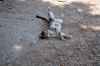 samos_148_dsc_4515.jpg
