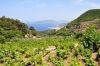 samos_153_dsc_4527.jpg