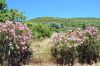 samos_224_dsc_4681.jpg