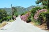 samos_225_dsc_4682.jpg