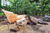 siladen_resort_097_dsc_2762_100.jpg