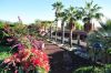 teneriffa_29_DSC_0348_025.JPG