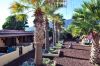 teneriffa_30_DSC_0353_026.JPG