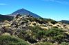 teneriffa_DSC_0159_043.JPG