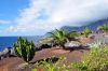 teneriffa_DSC_0670_139.JPG