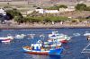 teneriffa_DSC_0692_149.JPG