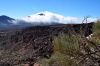 teneriffa_DSC_1624_223.JPG