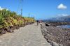 teneriffa_DSC_1686_235.JPG