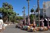 teneriffa_DSC_1695_236.JPG